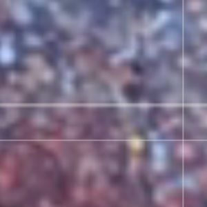 Meet your Posher, Addison